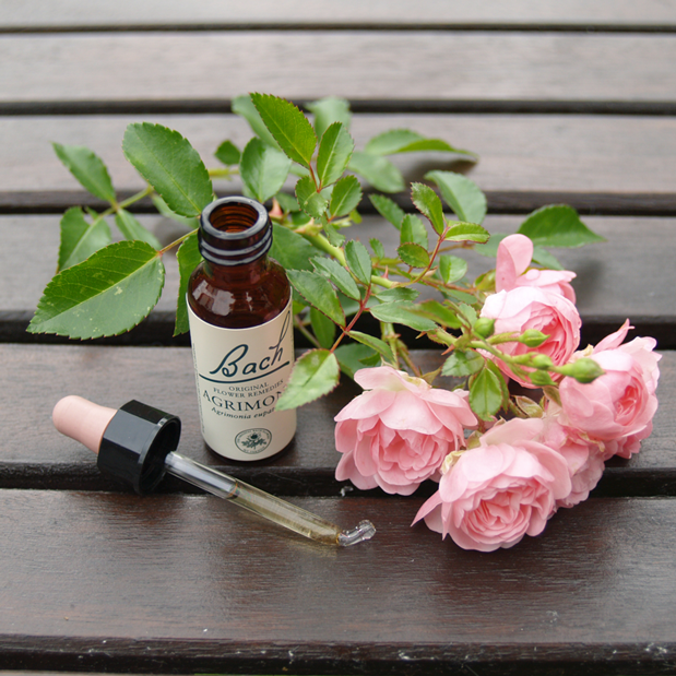 Bachblütentherapie Naturheilpraxis