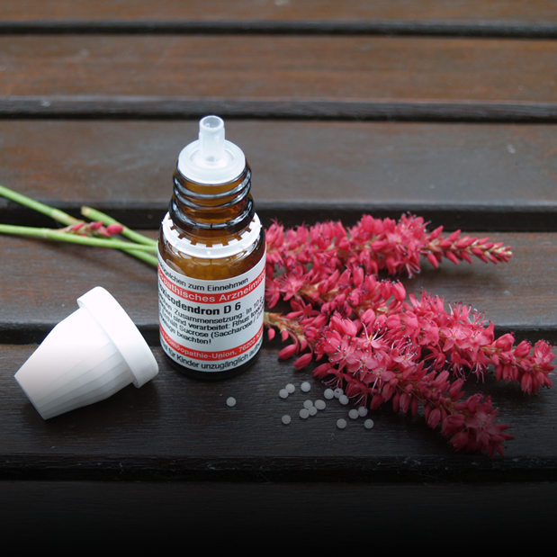 Homopathie