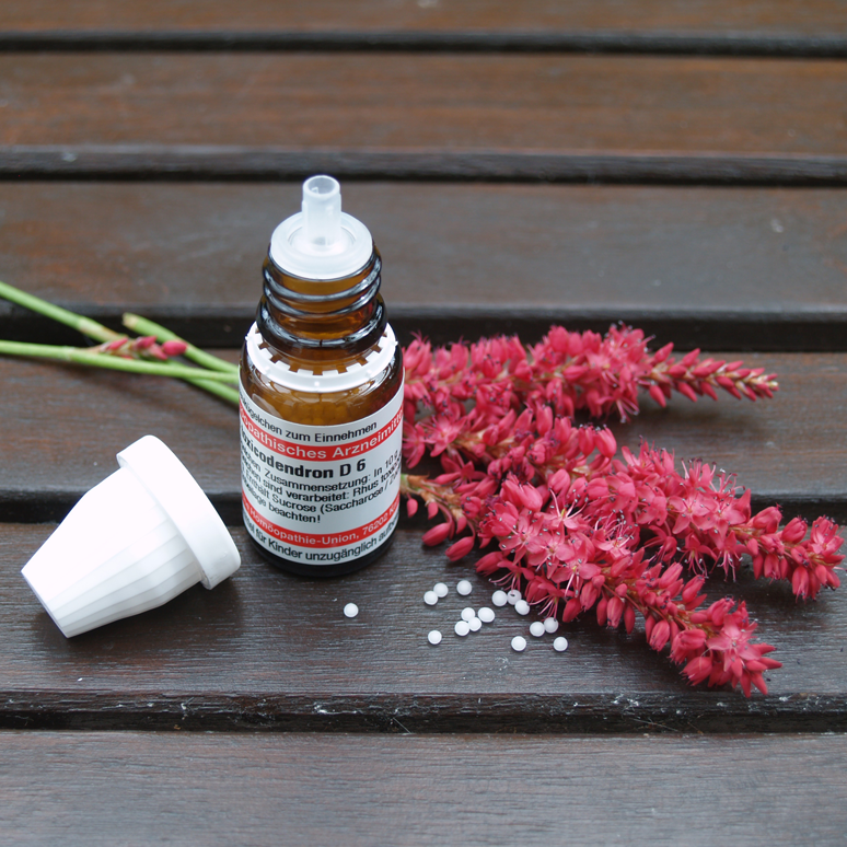 Homopathie Naturheilpraxis